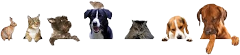 tierschutzbund banner 2